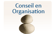 Conseil en Organisation