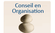 Conseil en Organisation